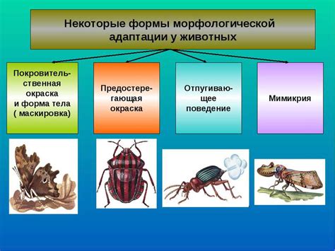 Адаптация паразитов к хозяину