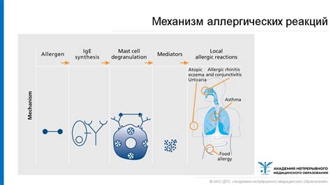 Аллергические реакции на составляющие препаратов