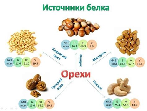 Альтернативные белковые источники в постное время