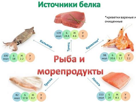 Альтернативные варианты питания для белок