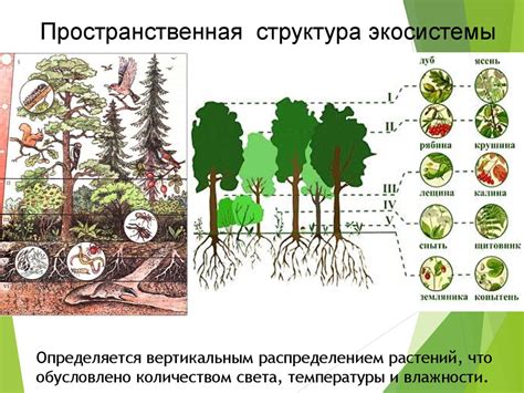 Альтернативные материалы и их роль в экологической проблематике