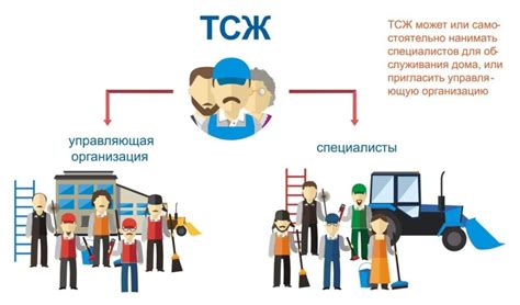 Альтернативные модели управления в ТСЖ