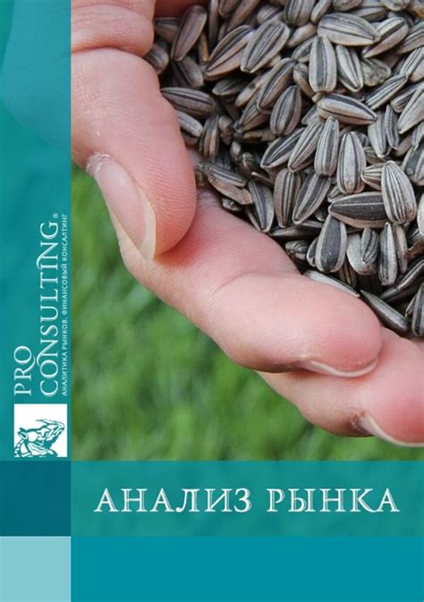 Анализ состава семечек подсолнечника и его изменений со временем