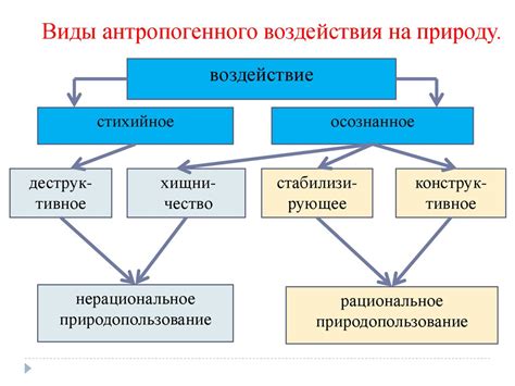 Антропогенное влияние