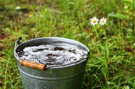 Безопасность питья дождевой воды