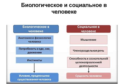 Биологические особенности человека, связанные с возможностью потери головы