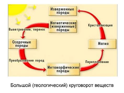 Биологический фактор: сладкое и энергия