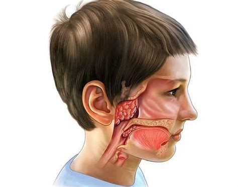 Важная информация о лечении аденоидов