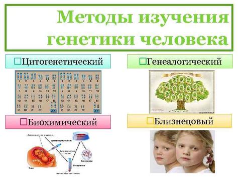 Важная роль генетики