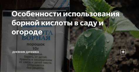 Важность внесения борной кислоты в почву