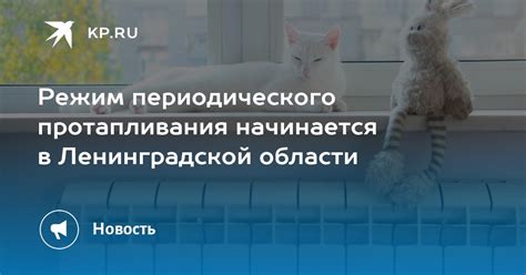 Важность периодического протапливания в Ленинградской области