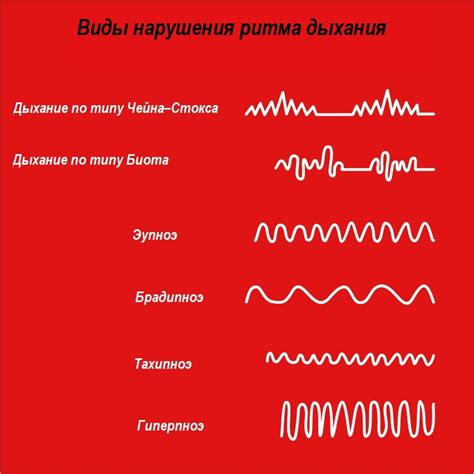 Важность пикировки ритма дыхания