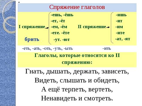 Важность правильного написания глаголов во множественном числе