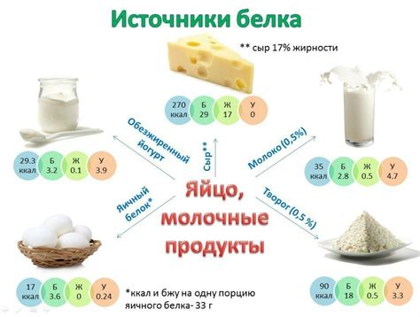 Важность протеина при похудении