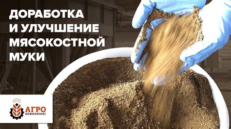 Важные моменты по использованию мясокостной муки для поросят