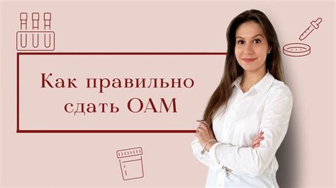 Важные моменты при сдаче мочи на ХГЧ