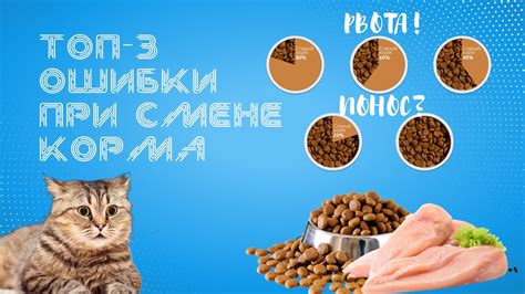 Важные моменты при смене корма