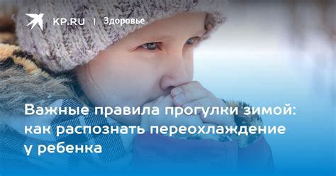 Важные правила прогулки с шпицем после прививки