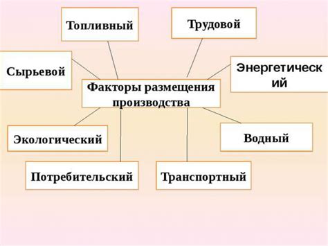 Важные факторы для удачного размещения огорода