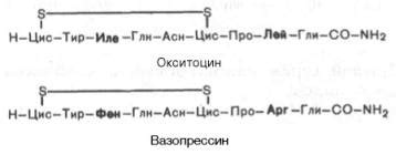 Вазопрессин и другие вещества, повышающие риск заболеваний