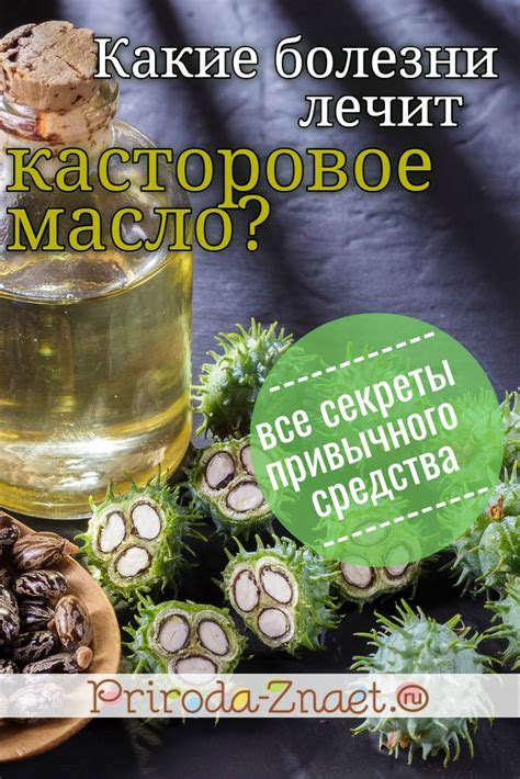 Варианты запивания касторового масла кроме воды