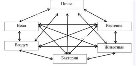 Взаимное влияние на творческую работу друг друга