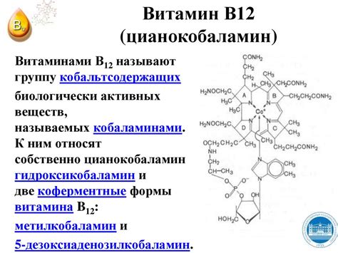 Взаимодействие витаминов В6 и В12