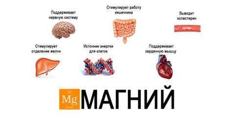 Взаимодействие препаратов железа и магния