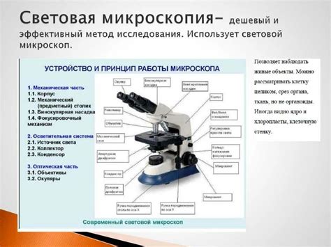 Видимость микрообъектов в световом микроскопе