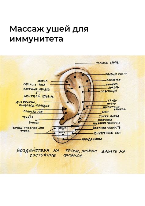 Виды фитосвечей для лечения отита