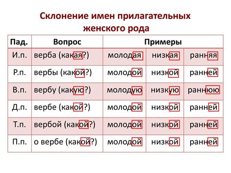 Винительный падеж женского рода фамилии Дзюба