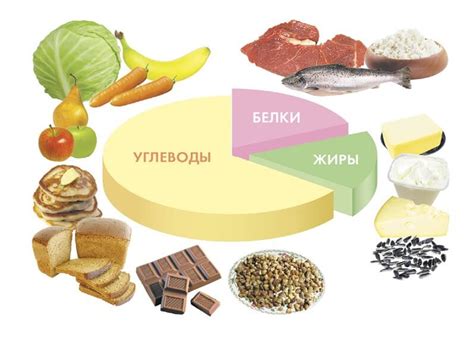 Витамины и питательные вещества в говяжьих хрящах