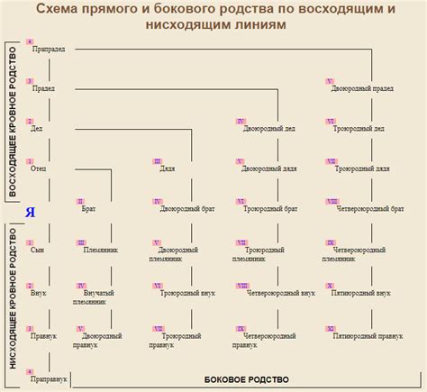 Влияет ли развод на степень родства?