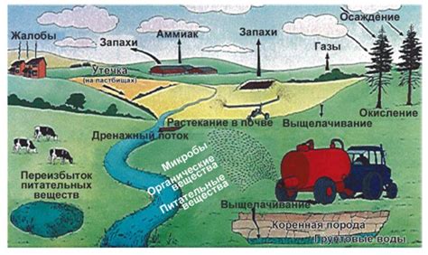 Влияние диких кроликов на окружающую среду и сельское хозяйство