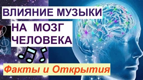 Влияние жанра музыки на воющее поведение собаки