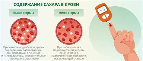 Влияние картофельного сока на уровень сахара в крови