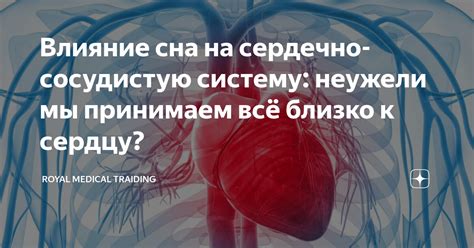 Влияние клюквы на сердечно-сосудистую систему