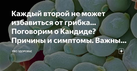 Влияние крабовых палочек на факторы, препятствующие выздоровлению от язвы