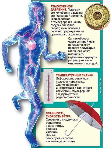 Влияние низкого атмосферного давления на путешествия и перелеты