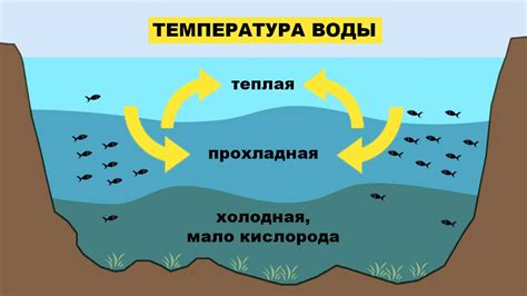 Влияние окружающей температуры