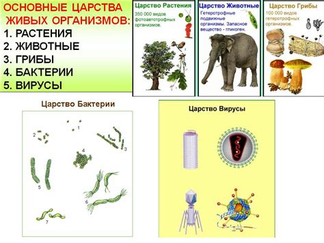 Влияние паразитов на живые организмы