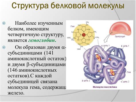 Влияние распада на четвертичную структуру белка