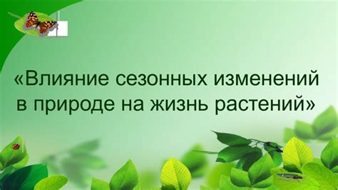 Влияние сезонных периодов на пассажиропоток и грузоперевозки