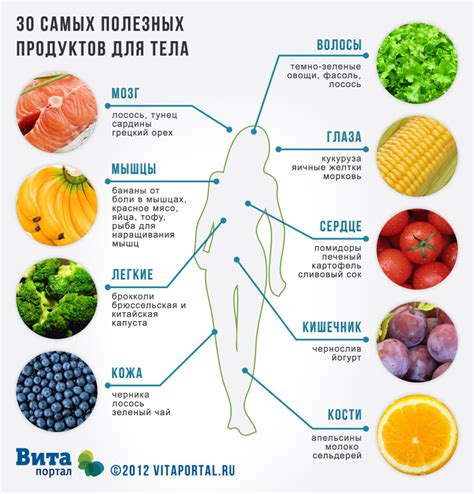 Влияние сметаны на структуру пюре