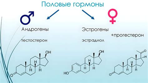 Влияние эстрогенов: связь с женскими гормонами