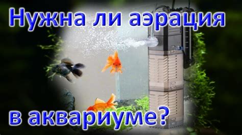 Вода перед тренировкой: необходимость или излишество?