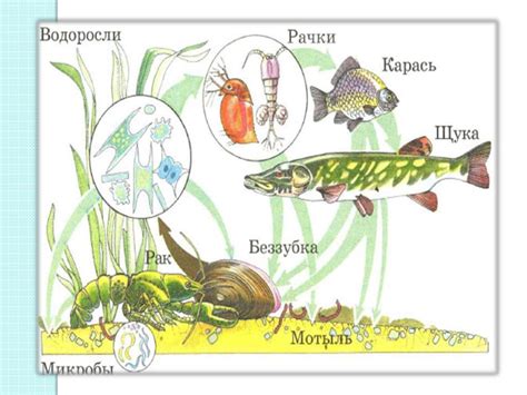 Водные потоки и их роль