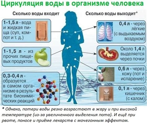 Водный баланс и молоко