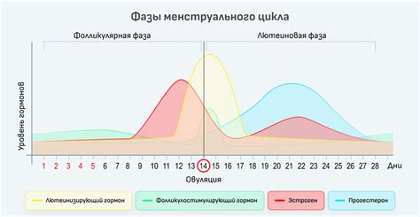 Воздействие Дюфастона на длительность цикла и на время начала месячных