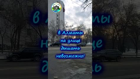 Воздух днем и ночью: где он чище?